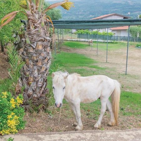 Apartmán Casa Rosa Ricadi Exteriér fotografie