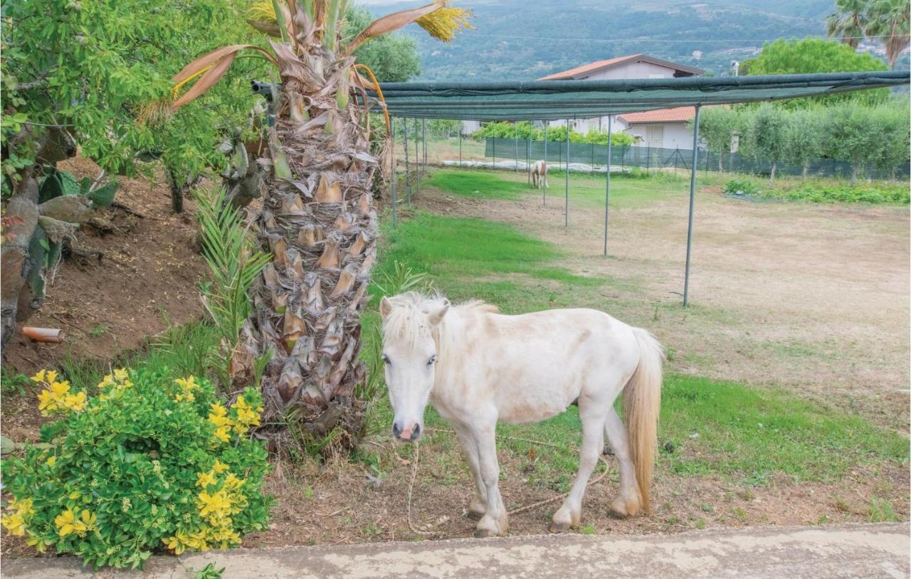 Apartmán Casa Rosa Ricadi Exteriér fotografie